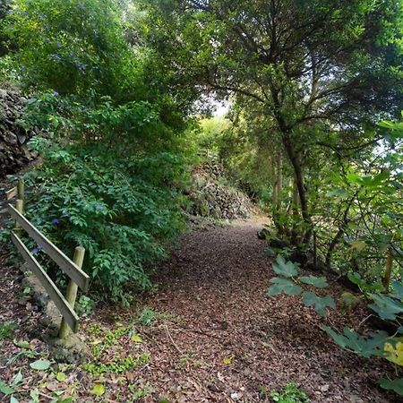 伊科德·德·洛斯·维诺斯Finca El Molledo El Patio公寓 外观 照片