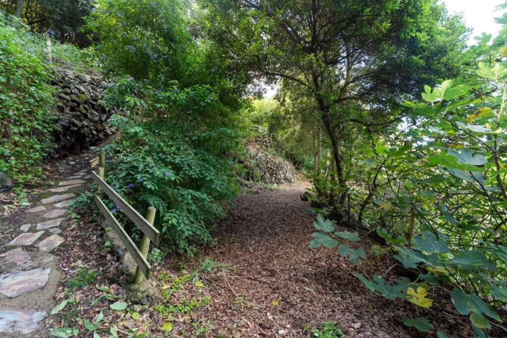 伊科德·德·洛斯·维诺斯Finca El Molledo El Patio公寓 外观 照片